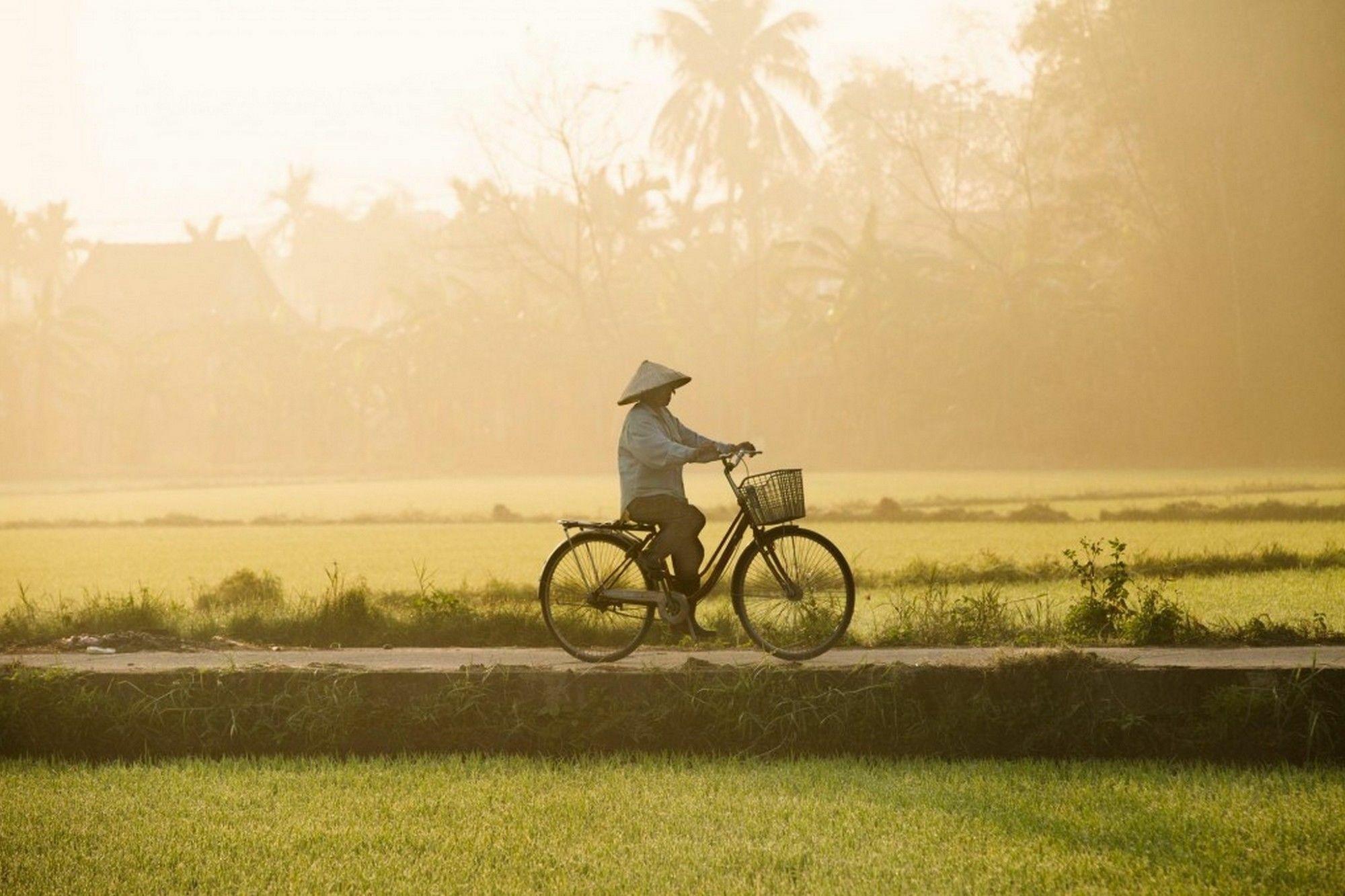 Cam Nam Homestay ฮอยอัน ภายนอก รูปภาพ